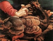 3view2r5. ����������, �������