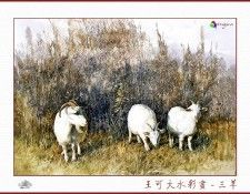 CSA aping WangKeDa 051. ��� �� Da