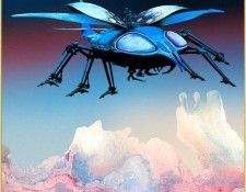 Mnn RDV SWD   Scarab. , 
