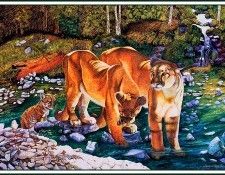 bs-na- Susan D Trisko- Cougar Crossing. Trisko,  D