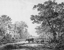 Strij van Jacob Forest landscape Sun. Strij, �������� ���