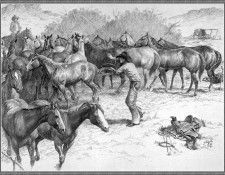 cr JustinWells-06-ChangingMounts. , 
