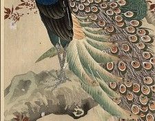 pic02162. �����