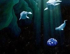 p-Schimmel 44. Schimmel, ������