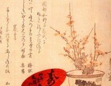 pic09474. �������