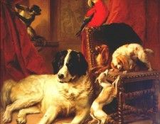 verboeckhoven the favorite animals of king leopold i 1845. Verboeckhoven,  