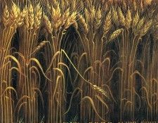 img637. ������, ����� ����