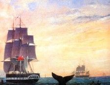 MPA William Duke Offshore Whaling with the Aladdin and Jane, 1849-[ R ] sqs. ������ ������