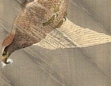 pic09299. �����