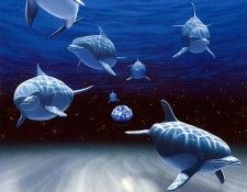 p-Schimmel 32. Schimmel, ������