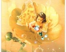 kb Cross Tom Sp Buttercup Fairy. �����, ���