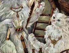 48610. �����, Adrienne