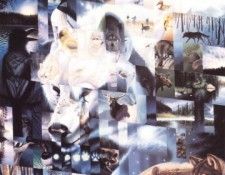DP0101~Wildlife-Mosaics-Wolf-Posters. ,  
