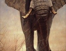 Cunieform 005c-Banovich. �������, ����