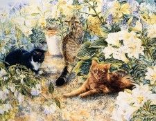 Fotherby, Lesley - Cats (end. Fotherby, �����