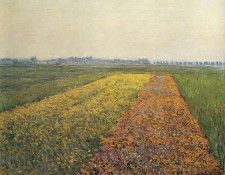 Caillebotte Gustave The Yellow Fields at Gennevilliers. , 