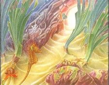 f cb01 Riccardo-Bellettati Pony02. Bellettati, ��������