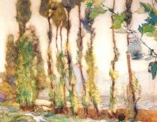 schille poplars c1911-12. Schille, Marjett