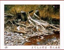 CSA aping WangKeDa 025. ��� �� Da