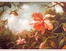 bs-flo- Martin Johnson Heade- Two Hummingbirds And Two Varieties Of Orchids. ,  