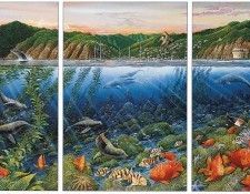 kb RLN Catalinas Summer Seas. ,  