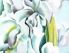 32333. OKeeeffe, ������