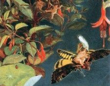 kb Naish John-The Midsummer Fairies1. Naish, ���� ������