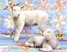 kb Noel Nancy-Starquilt. Ноэль, Нэнси