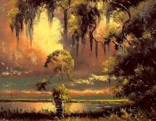 willie daniels-illustrated landscapes csg017. , 