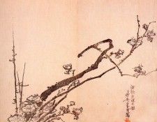 pic09596. �������