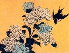 pic09509. �������