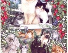 lrs Hart June Summer Cats. , 