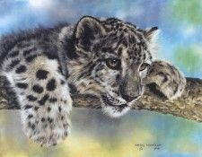 kb Harrison Intrigued. ��������, �����