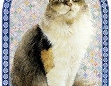 kb Ivory 18. ������, ����� ���