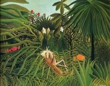 Rousseau (64). �����, ����