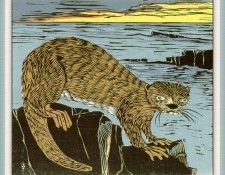 BowenBetsy TracksInTheWild 09 sj. �����, �����