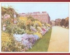 WardCyril HamptonCourt-We (f111). ����, ������