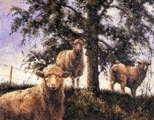 Michel Goujon - Les Curieux de Fermeneuve, De. , 