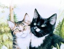 kb Cook Debbie 2000 09. ���, �����