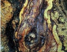 art 691. , 