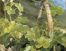 lrsBuxtonHohn-OutnAbout. �������, ����