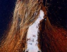 Robert Gerard - Bucking Bronc, De. , 
