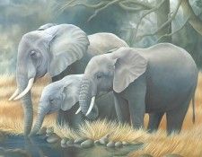 s4-vanishingspecies006-africanelephant. �����, L