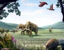 dinosaurs csg002 pleistocene. , 