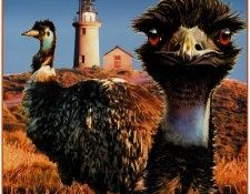 pa HartTrish 01 Emu. , 