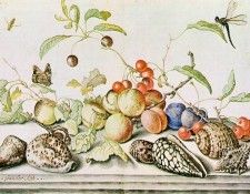 still-life-1628. ,   