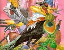 SneedBrad AesopsFables10 sj. ����, ����