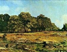 Sisley Alfred Trees at La Celle Saint Cloud Sun. , 