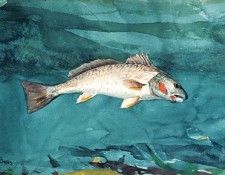 Homer Winslow Channel Bass. , 