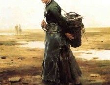 41233. ����, ������� �������